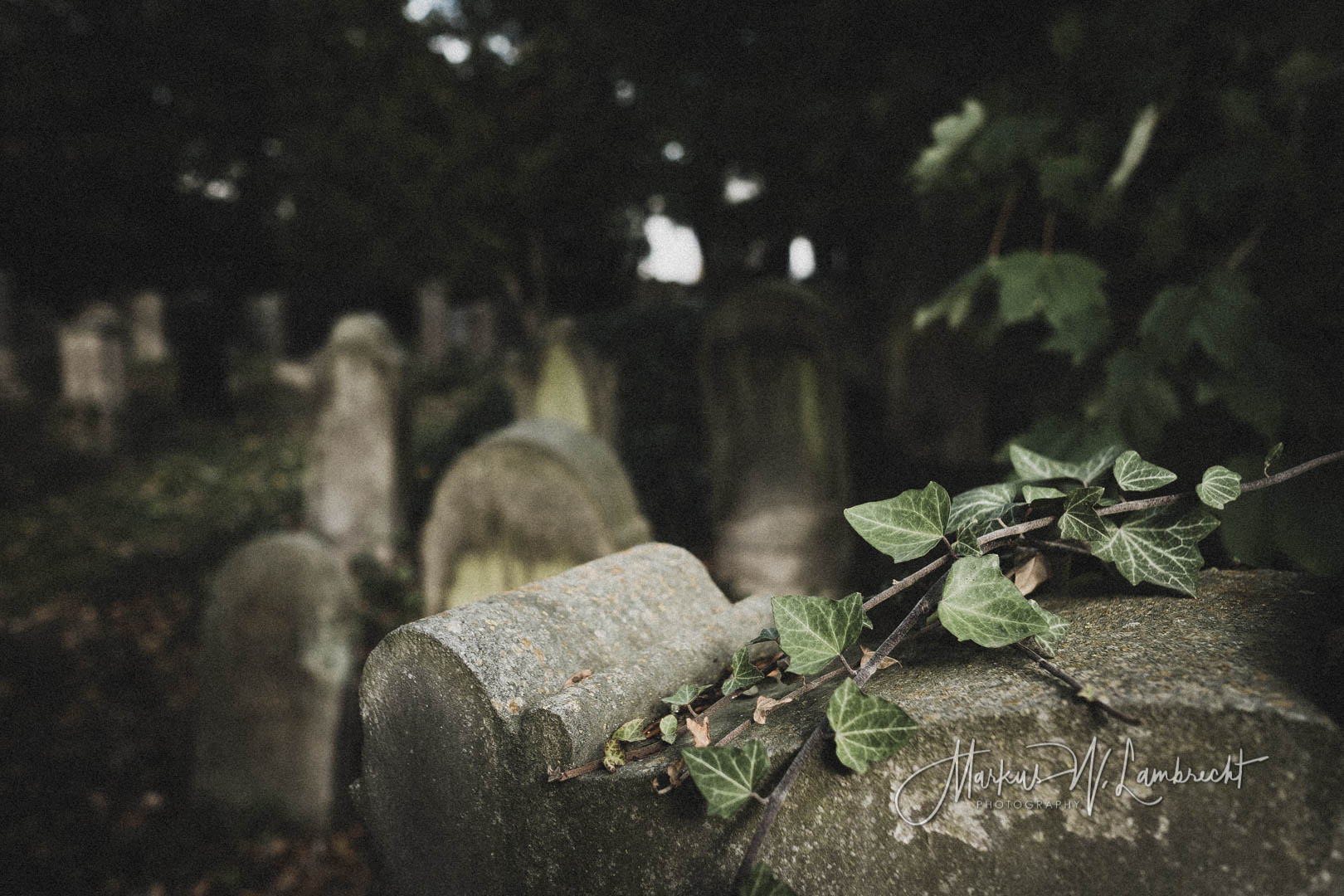 Steinheim (Westfalen), Jüdischer Friedhof